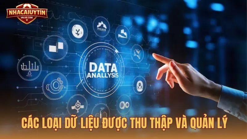Các loại dữ liệu được trang web thu thập và quản lý